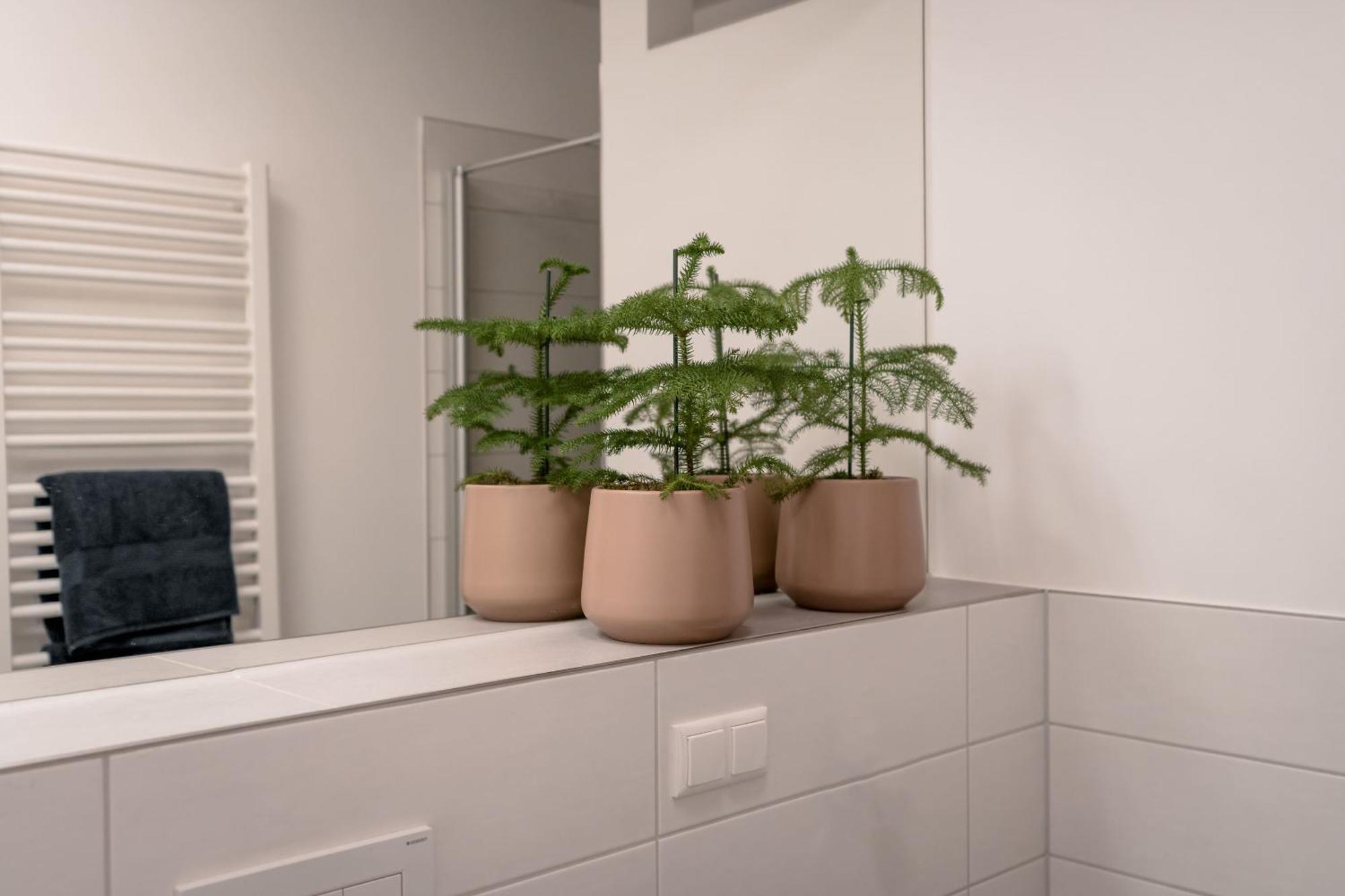 Ferienwohnung Altstadt Регенсбург Экстерьер фото